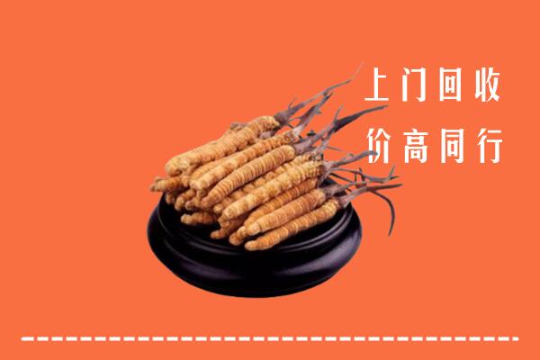高价求购：眉山市洪雅回收散虫草