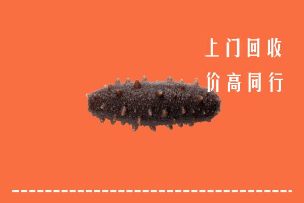 高价求购：眉山市洪雅回收海参
